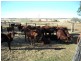 Moffatdale QLD 4605