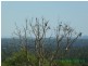 Tiaro QLD 4650