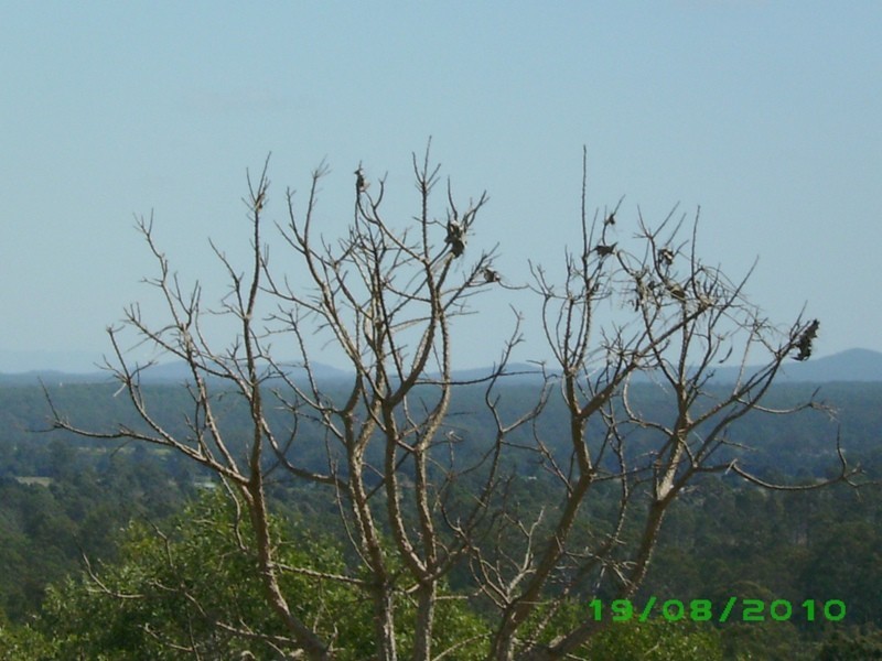Tiaro QLD 4650