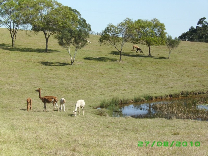Gootchie QLD 4650