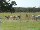 Gootchie QLD 4650