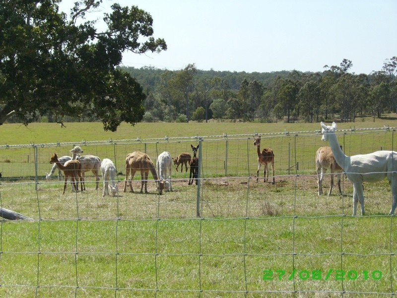 Gootchie QLD 4650