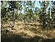 Magnolia QLD 4650