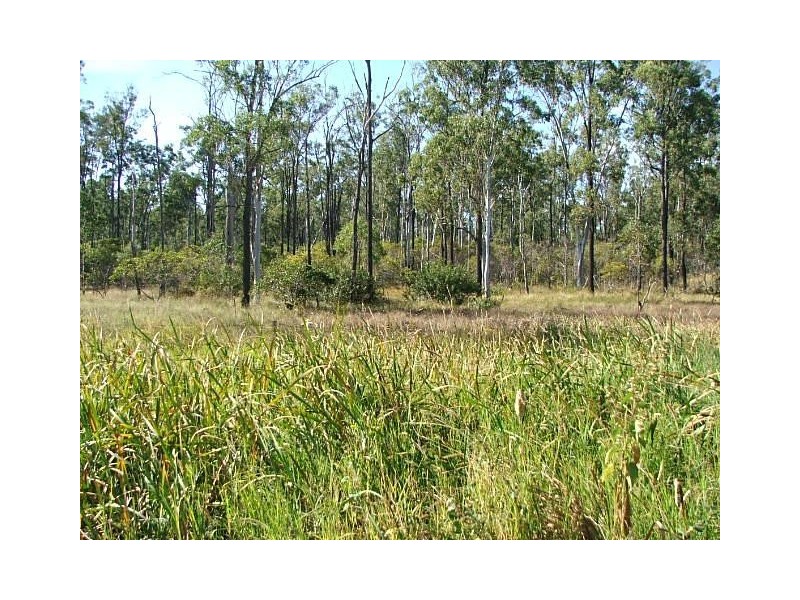 Magnolia QLD 4650