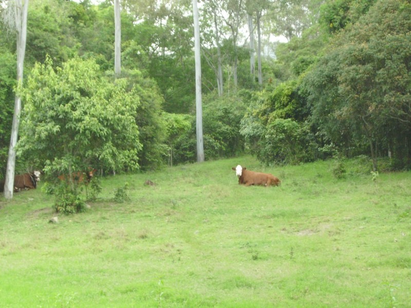 Kanigan QLD 4570