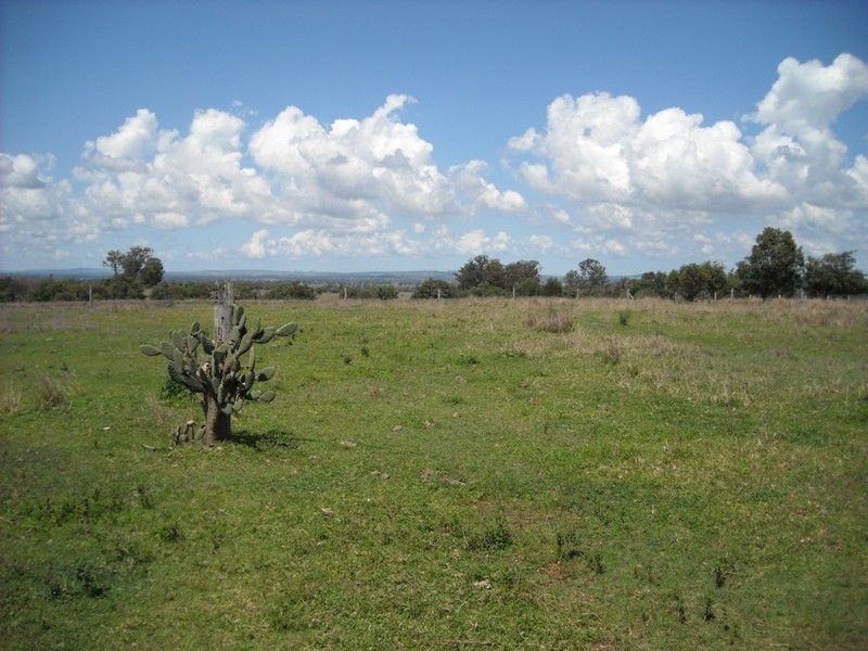 Warnung QLD 4605