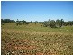 Grahams Creek QLD 4650