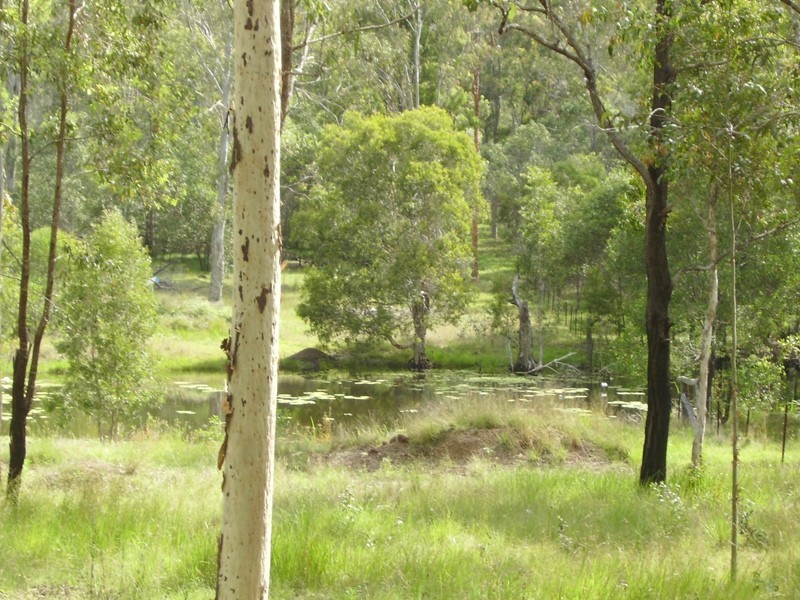 Gootchie QLD 4650