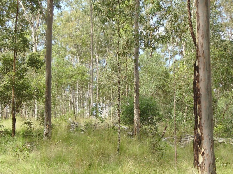 Gootchie QLD 4650