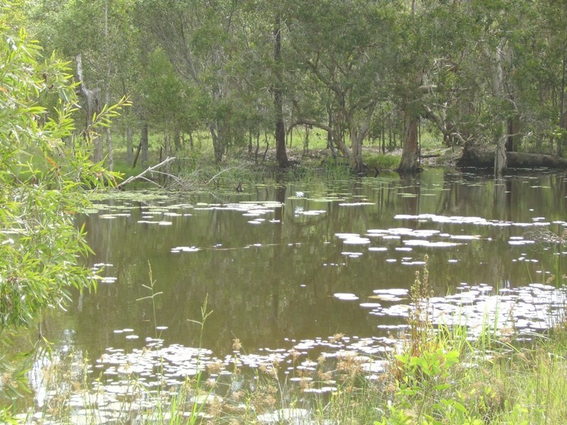 Gootchie QLD 4650