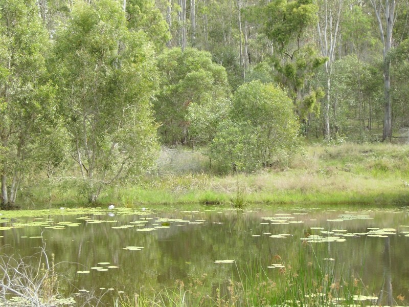 Gootchie QLD 4650