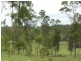 Gundiah QLD 4650