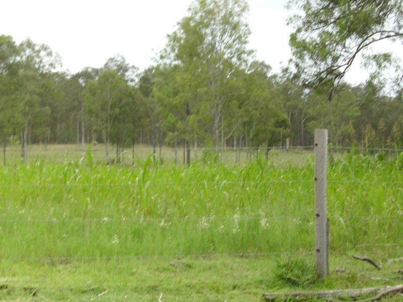 Gundiah QLD 4650