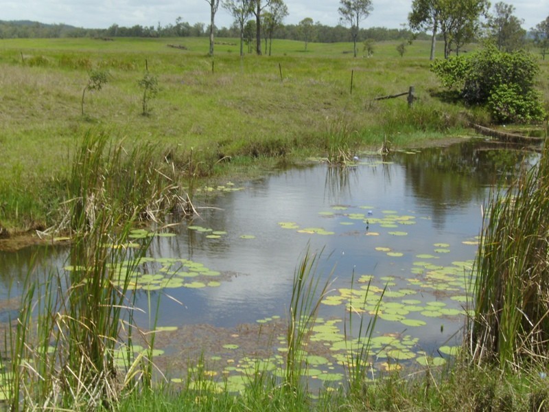 Tiaro QLD 4650