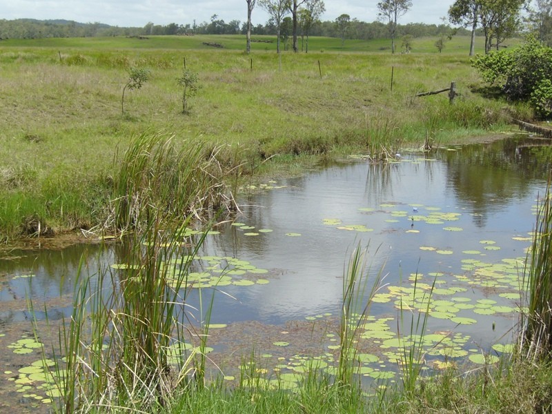 Tiaro QLD 4650