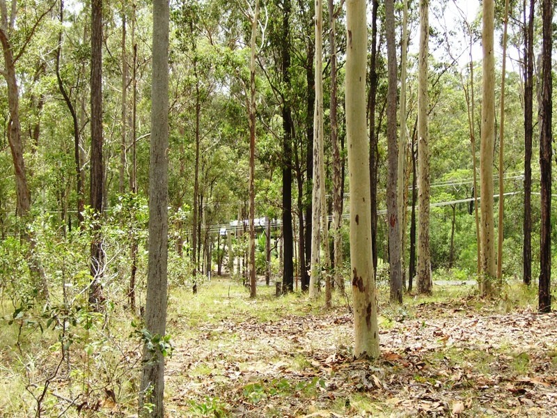 Bauple QLD 4650