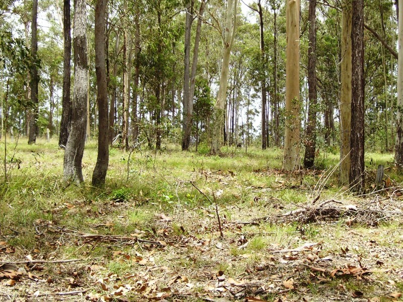 Bauple QLD 4650