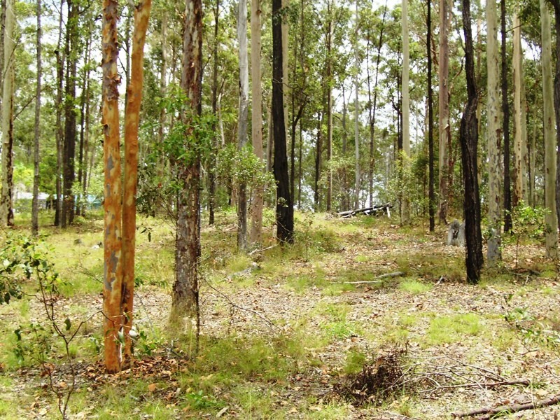 Bauple QLD 4650