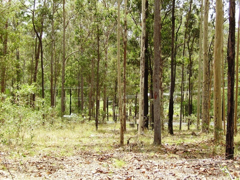 Bauple QLD 4650