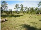 Mungar QLD 4650