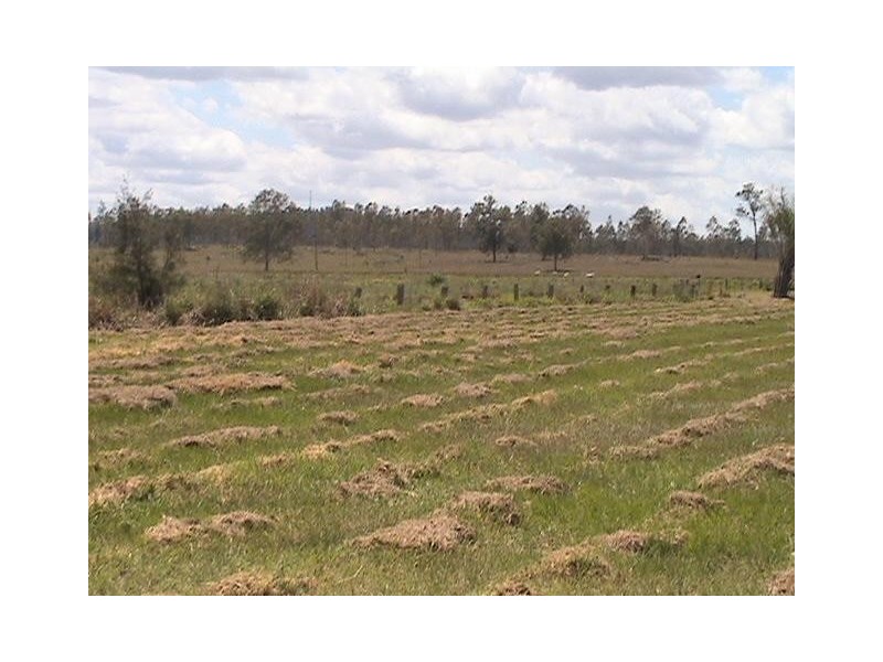 Tiaro QLD 4650