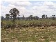 Tiaro QLD 4650