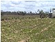 Tiaro QLD 4650