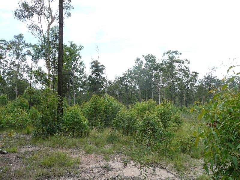 Bauple QLD 4650