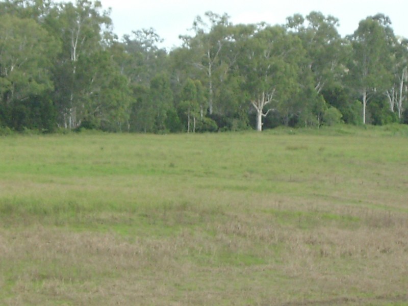 Mungar QLD 4650