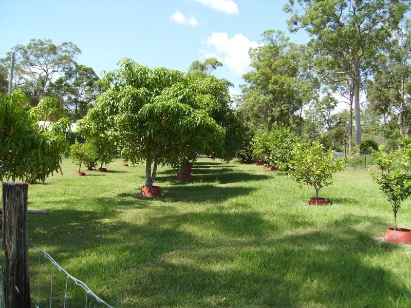 Bauple QLD 4650