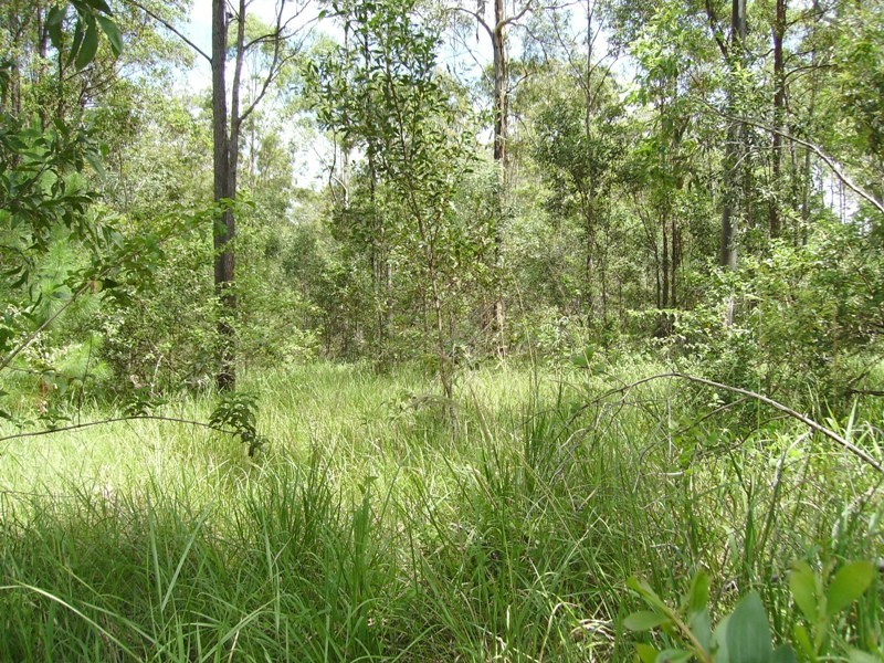 Bauple QLD 4650