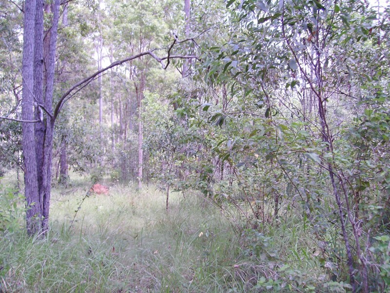 Bauple QLD 4650