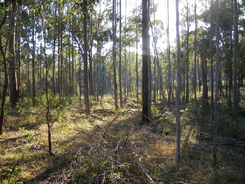 Lot 108 Emerys Bridge Road, Gundiah QLD 4650