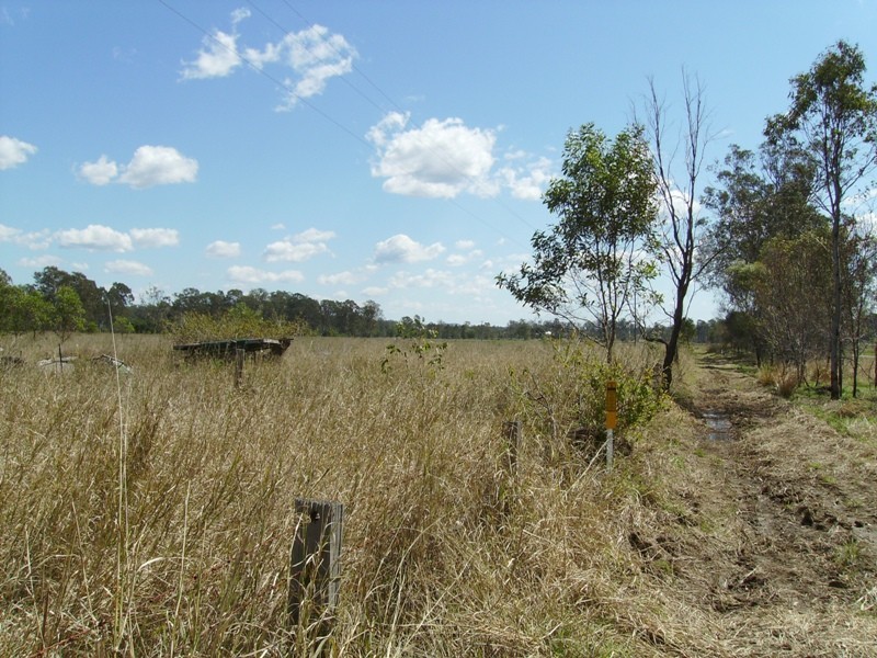Gundiah QLD 4650