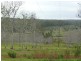 Bauple QLD 4650