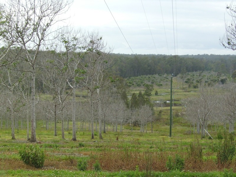 Bauple QLD 4650