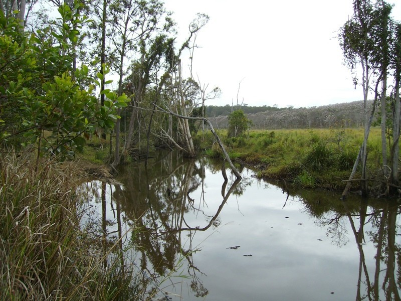 Bauple QLD 4650