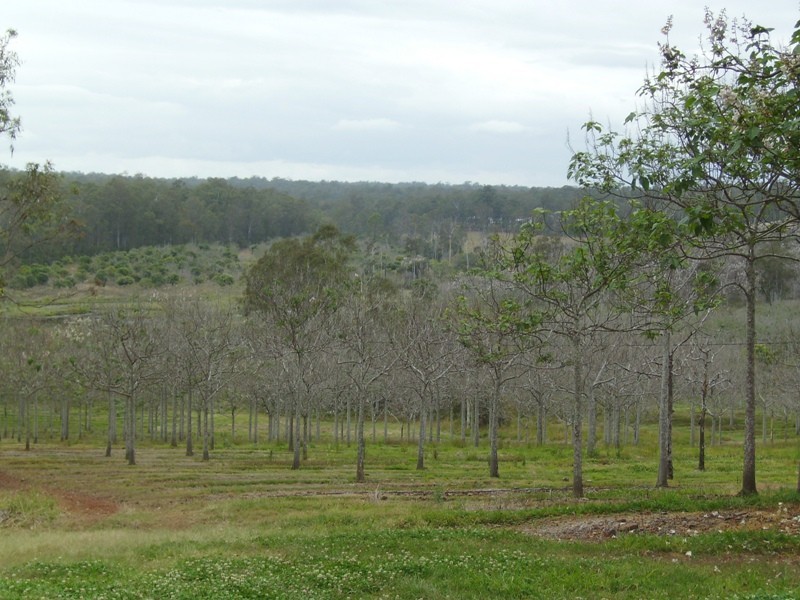 Bauple QLD 4650