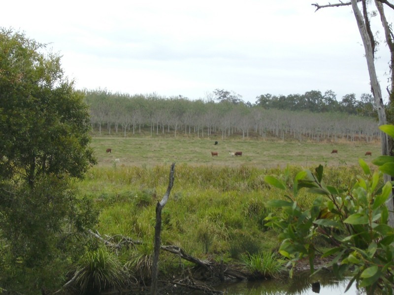 Bauple QLD 4650