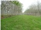 Bauple QLD 4650