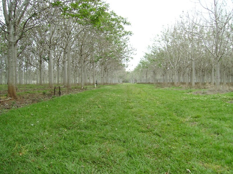 Bauple QLD 4650