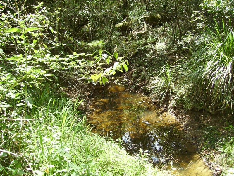 Bauple QLD 4650