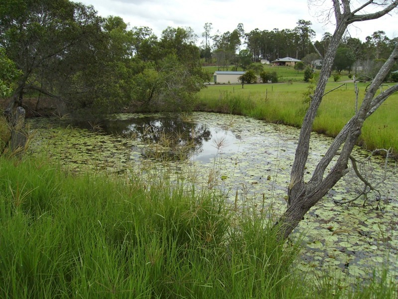 Antigua QLD 4650