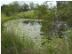 Antigua QLD 4650