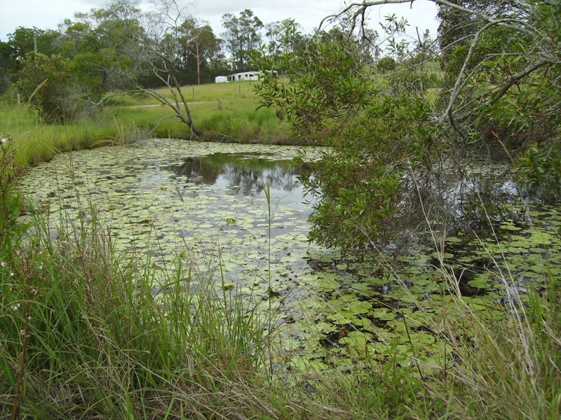 Antigua QLD 4650