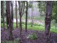 Bauple QLD 4650