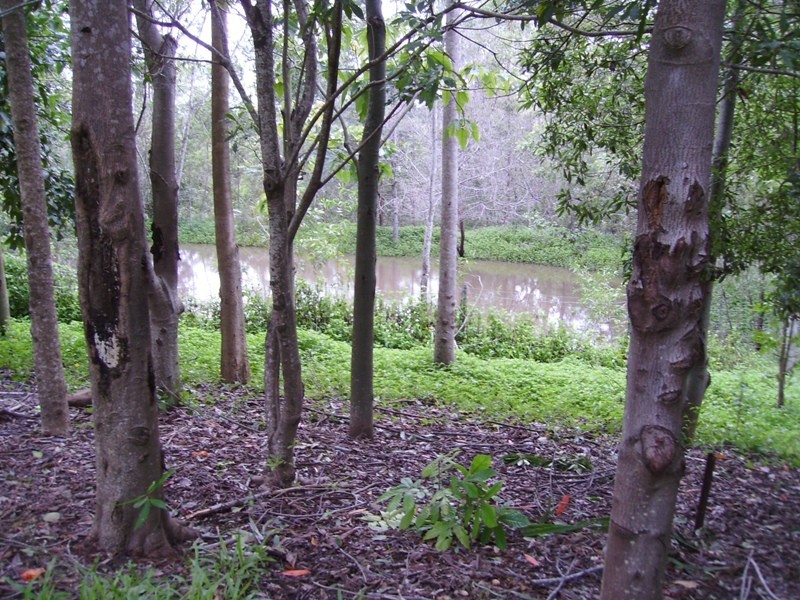 Bauple QLD 4650