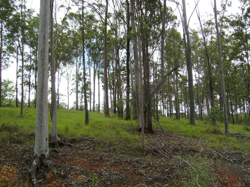 Bauple QLD 4650