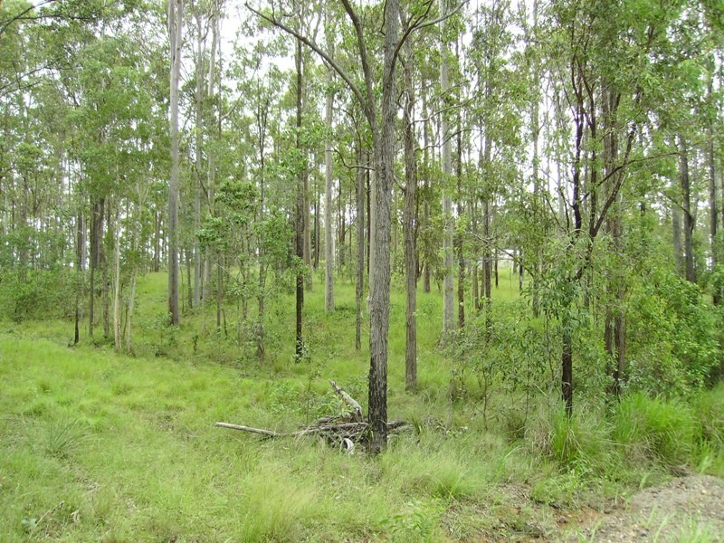 Bauple QLD 4650