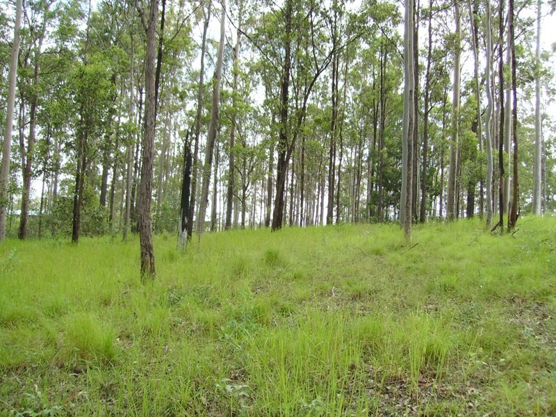 Bauple QLD 4650